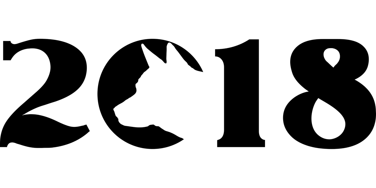 今后知足 第4页